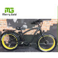 1000W 48V 2 Wheel Fat Tyre Electric Bicycle/E Bike